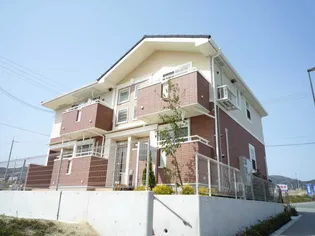 コリーヌの画像