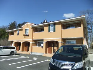 バロン ドゥの画像