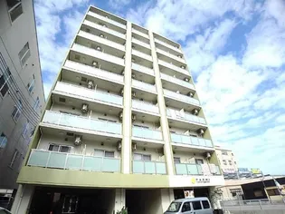 ハレ スプラウトの画像