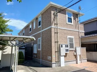 マルベリーの画像