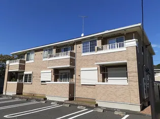 ファレノプシス Bの画像
