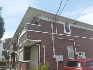 サン グレイスの画像