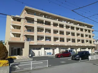 MTクリアネスの画像