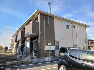 グリーンリーフの画像