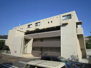 キーウィの画像