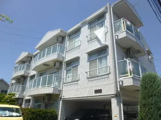 グリーンカーサIIIの画像