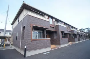 サニープラシード IVの画像