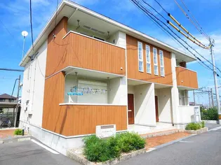 エルサザンクロスの画像