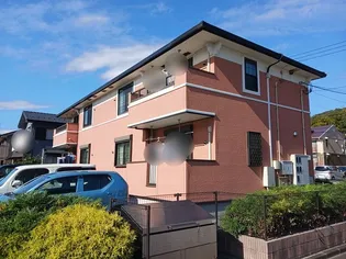 ライズアンドシャインIIの画像