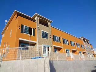 アプリコットIの画像