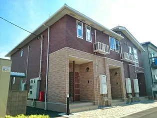 ボニートの画像