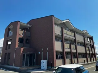 プラシードBの画像