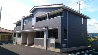 コッティ ベリー Ⅰの画像