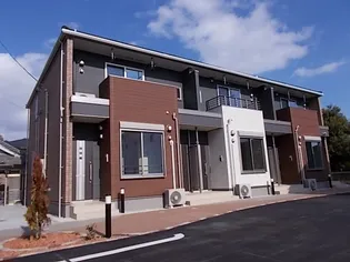 カレント ヒガシウズラ Cの画像