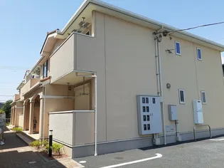 アクシアの画像