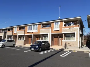 コート アコール Bの画像