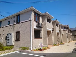 コティアブイの画像