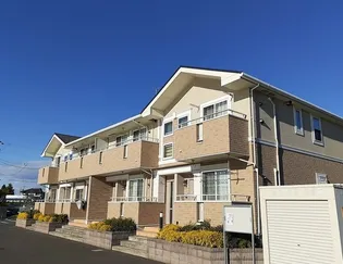 エバーグリーン 3の画像