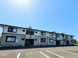 ハイカムールSHIMIZUの画像