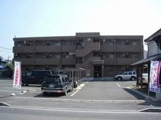 オリーブコートの画像