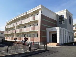 エテルノCの画像