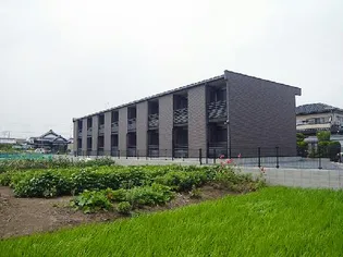 レオネクスト和の画像