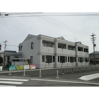 マーガレットスマイルの画像