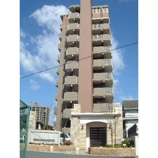 サン ビオ空港通りの画像