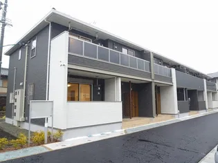 プリムローズの画像