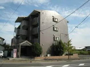 スターライトMの画像