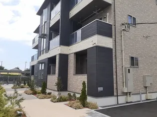 COSMO LIGHTの画像