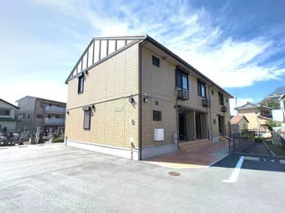 M フィールドの画像