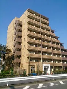 メインステージTOKYO NORTH HY'Sの画像