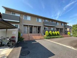 ジムナスターの画像