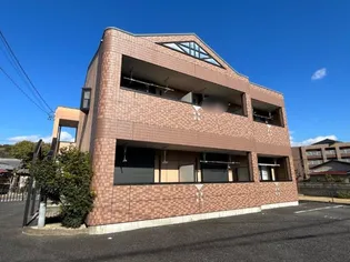 プリムローズの画像