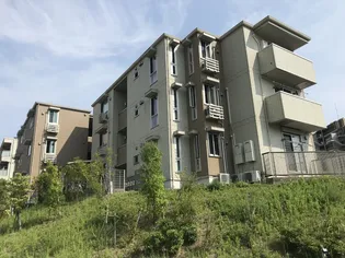 CASA FILANTE VOL IIの画像