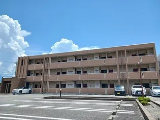 ソール オリエンスBの画像