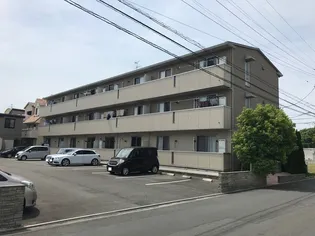 アクチュアリーMの画像