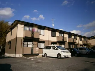 メープル クロス エガムロIIIの画像