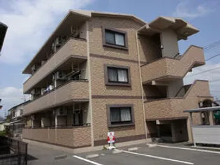 センテリヤールの画像