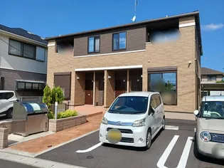 プリムローズの画像