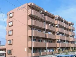 Y M HAYASHIの画像