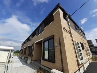 サニー ブルックの画像