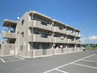 Y&Mアグリザードの画像