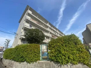 豊中ビューハイツS棟の画像