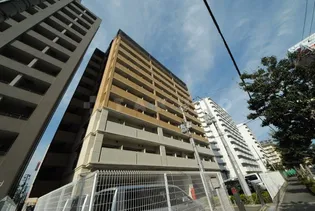 大阪府大阪市淀川区西中島2丁目【マンション】の外観