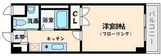 シプレス【5階】の間取り