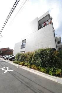 LOIS BLANCHEの画像