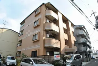 アンフィニⅥの画像