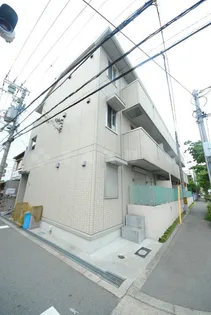 ハナミズキの画像